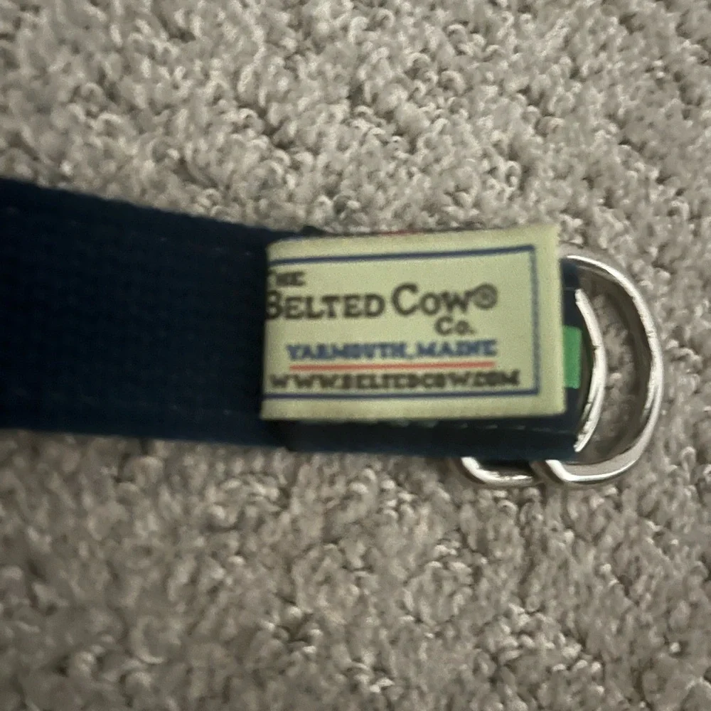 The Belted Cow Boys Green and Navy Striped Belt Size L